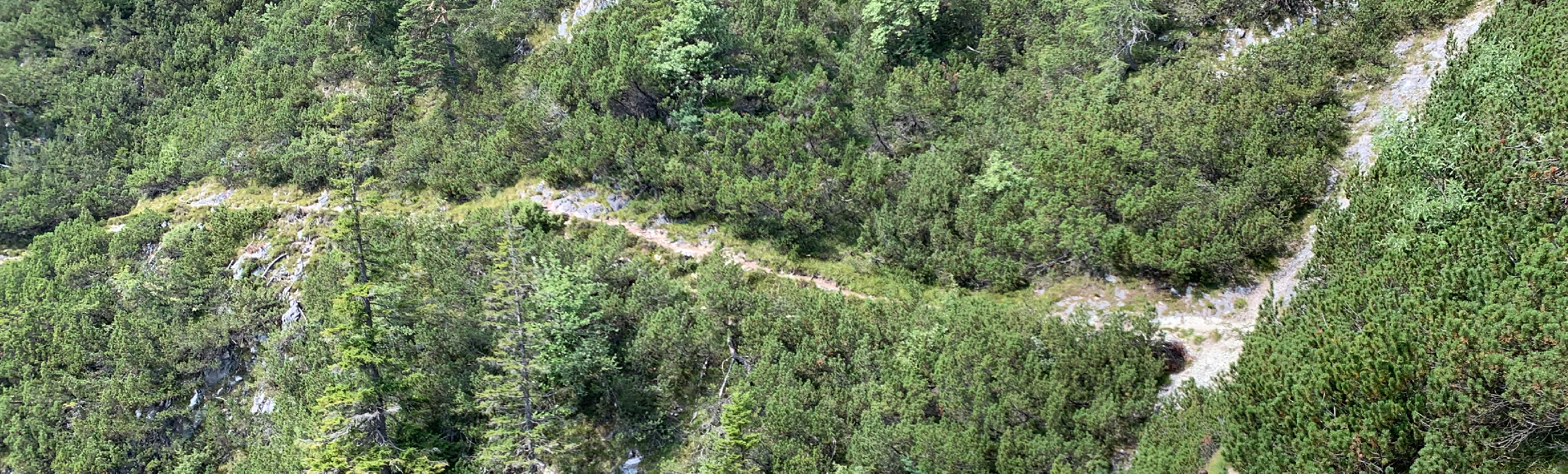 image-20220911110506389